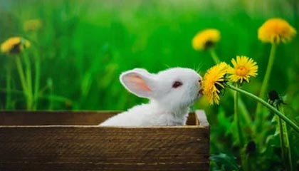 开运体育网页版-阿尔巴尼亚女足大胜一仗，夺冠在望！