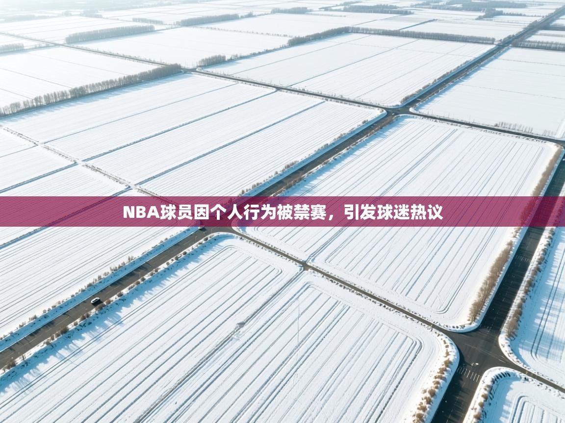 NBA球员因个人行为被禁赛，引发球迷热议  第2张