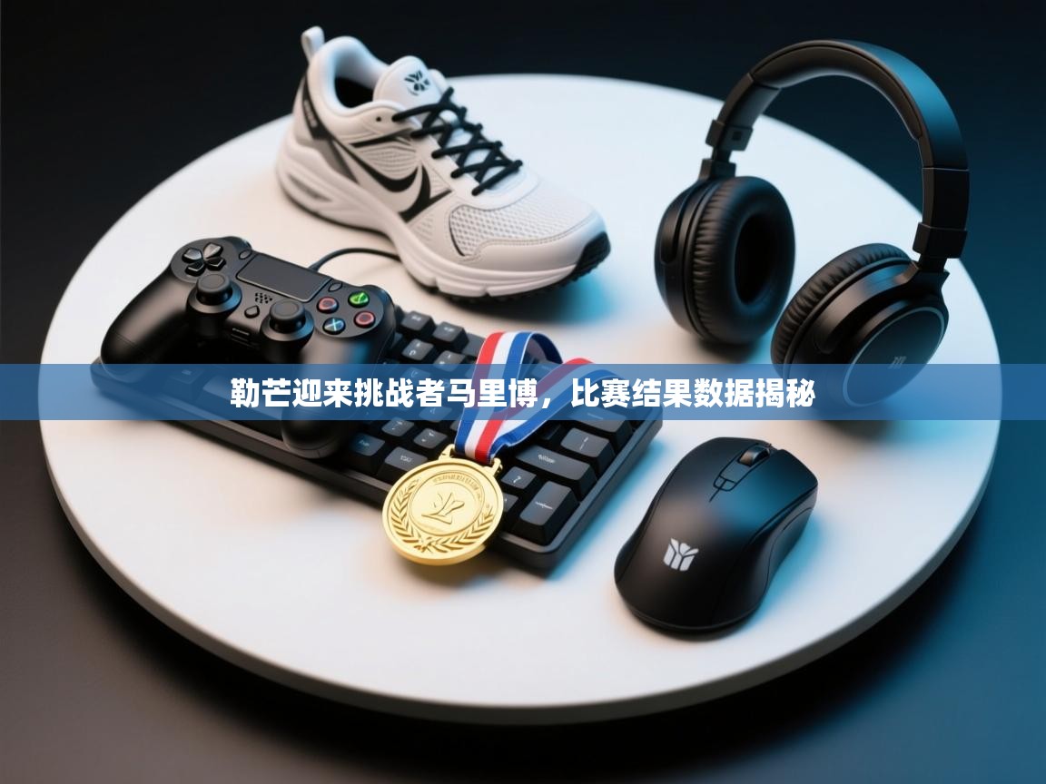 勒芒迎来挑战者马里博，比赛结果数据揭秘  第1张