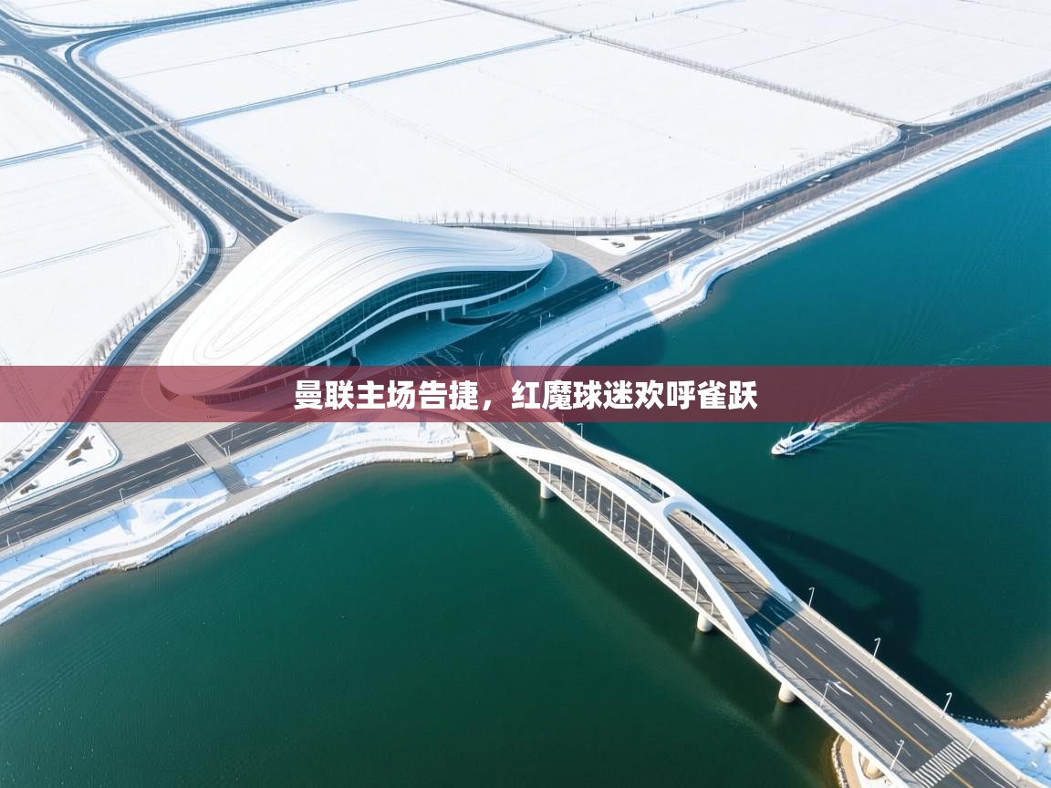 曼联主场告捷，红魔球迷欢呼雀跃  第1张