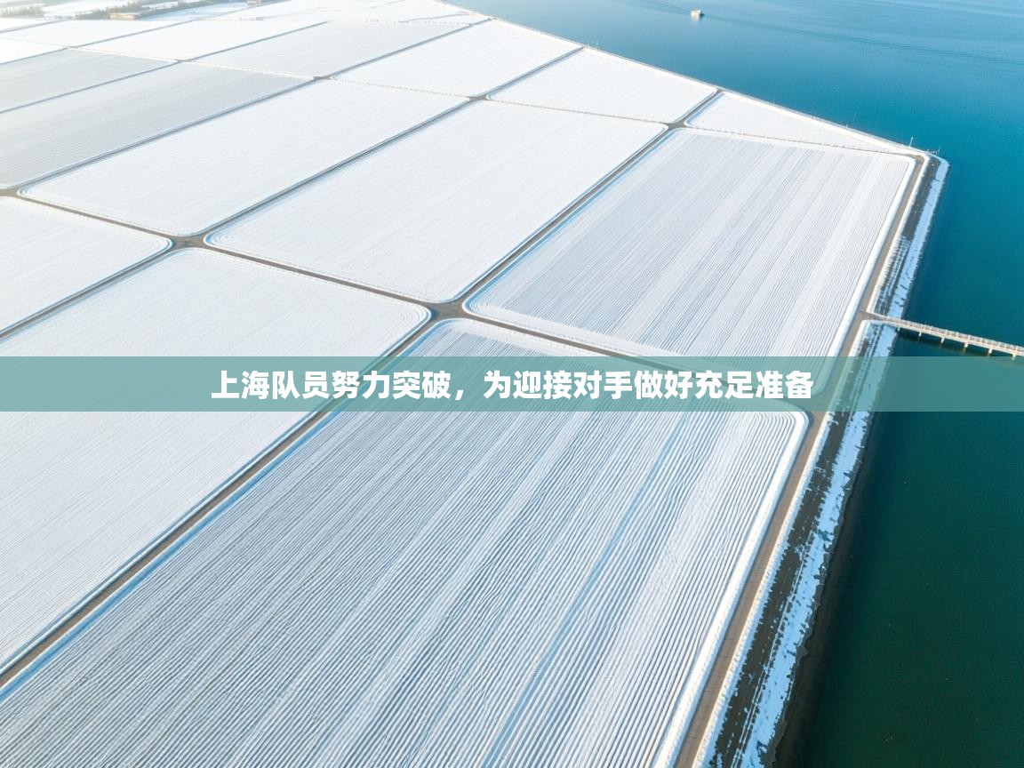 上海队员努力突破，为迎接对手做好充足准备  第1张