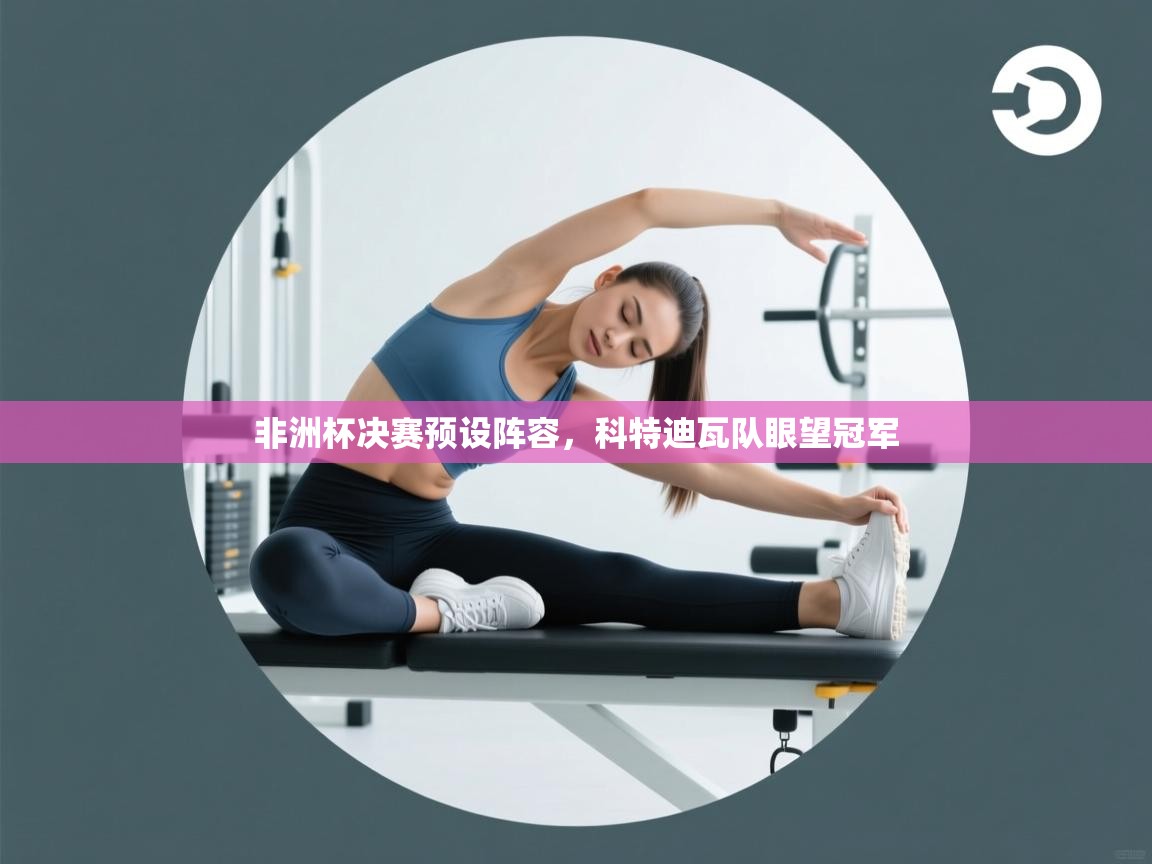 非洲杯决赛预设阵容,科特迪瓦队眼望冠军 第2张