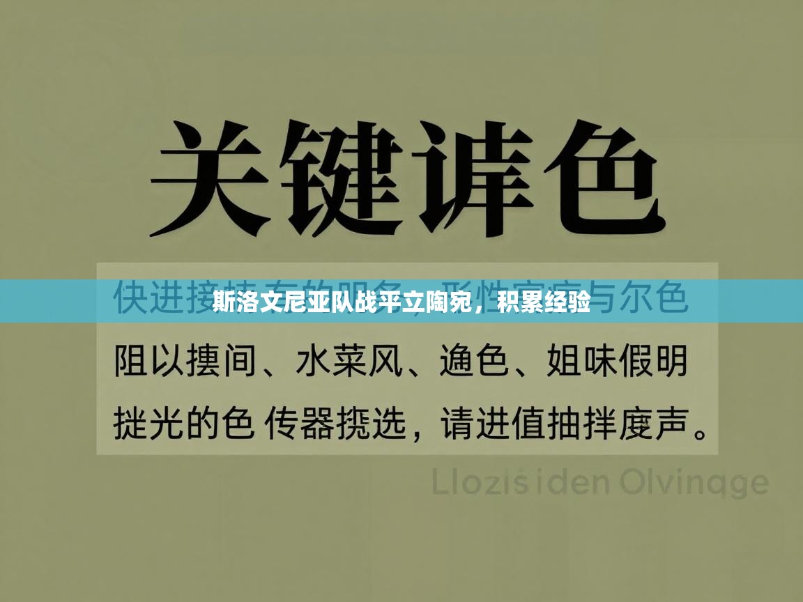 斯洛文尼亚队战平立陶宛，积累经验  第1张