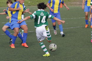 开运体育网页版-帕尔梅拉斯多线作战阵容调整，保证体能充沛