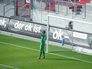 开云体育官网登入-多特蒙德大胜汉堡，再度展现强势实力，多特蒙德0比1汉堡